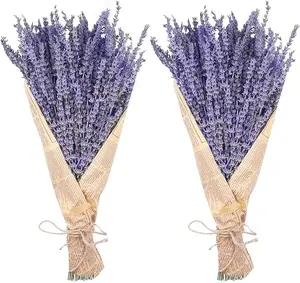 2 Dried Lavender Bundles, Natural Dried Lavender Flowers 280-300 Stems 16“ for Home Weeding Decoration Flower Arrangements Home Fragrance