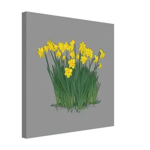 Daffodil Canvas