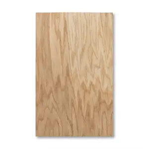 1/16" Oak PlyCore Plywood - 12"x19”