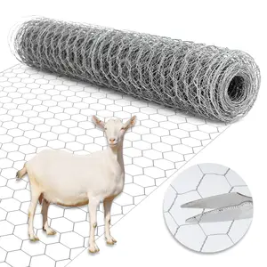 Hot-Dip Galvanized Wire Mesh | Premium Poultry-Proof Mesh | Hexagonal Galvanized Mesh for Chicken Coops, Rabbit Hutches, and Fence Protection