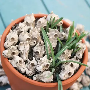 20pcs Dragon Head Skull Bonsai Decorative Statues, Cool Garden Decoration Miniatures, Outdoor Fairy World Landscape Decorative Statues