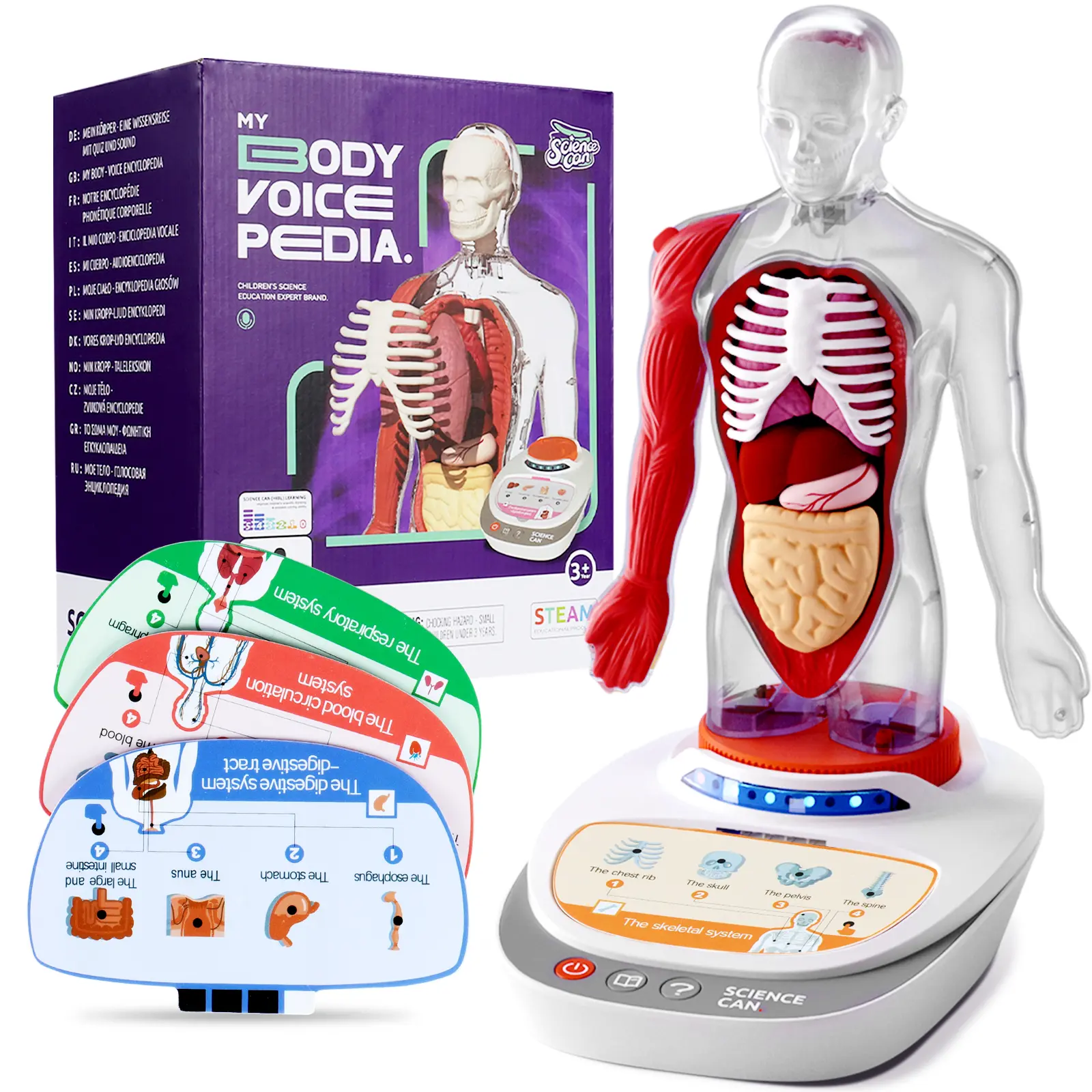 Science Can Unisex Talking Human Body Model for Kids - 15 Parts, 15 Organs, Ages 6+, STEM Educational Toy, Anatomy Guide, Interactive Voice Modes, Transparent Design, Montessori Magnet Tiles, Interactive Learning, Science Learning, Kids' Cool Gifts
