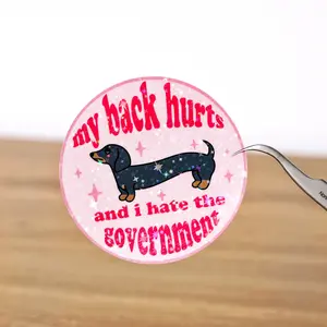 My back hurts and I hate the government sticker, Waterproof, F*ck ICE, FDT Anti Trump Anti Maga funny adult quote, Gift for coworkers, Political gift, fk donald trump, Pro immigration, Not my president, Abolish ICE, Human rights, Is he dead yet, Democrat