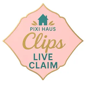 Pixi Haus 3 Clips for Chip Bags Papers and Items You Want to Decorate Adhesive Acrylic Versatile Practical Handmade Item