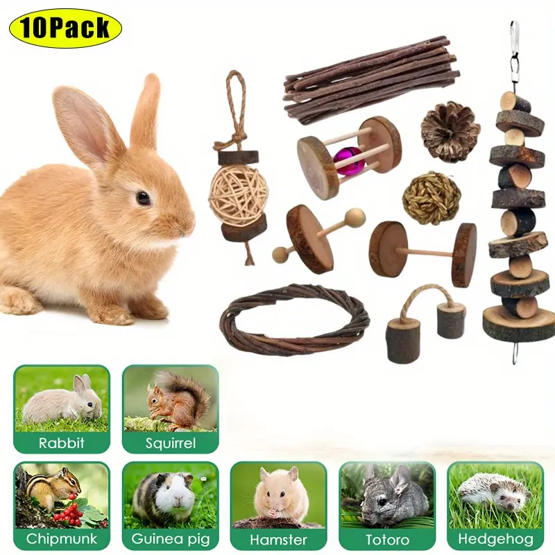 10 Pack Small Animal Combo Wood Activity Toys, Hamsters Chew Toys, Rat Chinchilla Snacks Toys for Pets Accessories