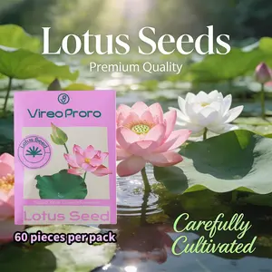 Grow Your Own Lotus Flowers  Easy Water Garden Seeds for Home & Backyard Pond