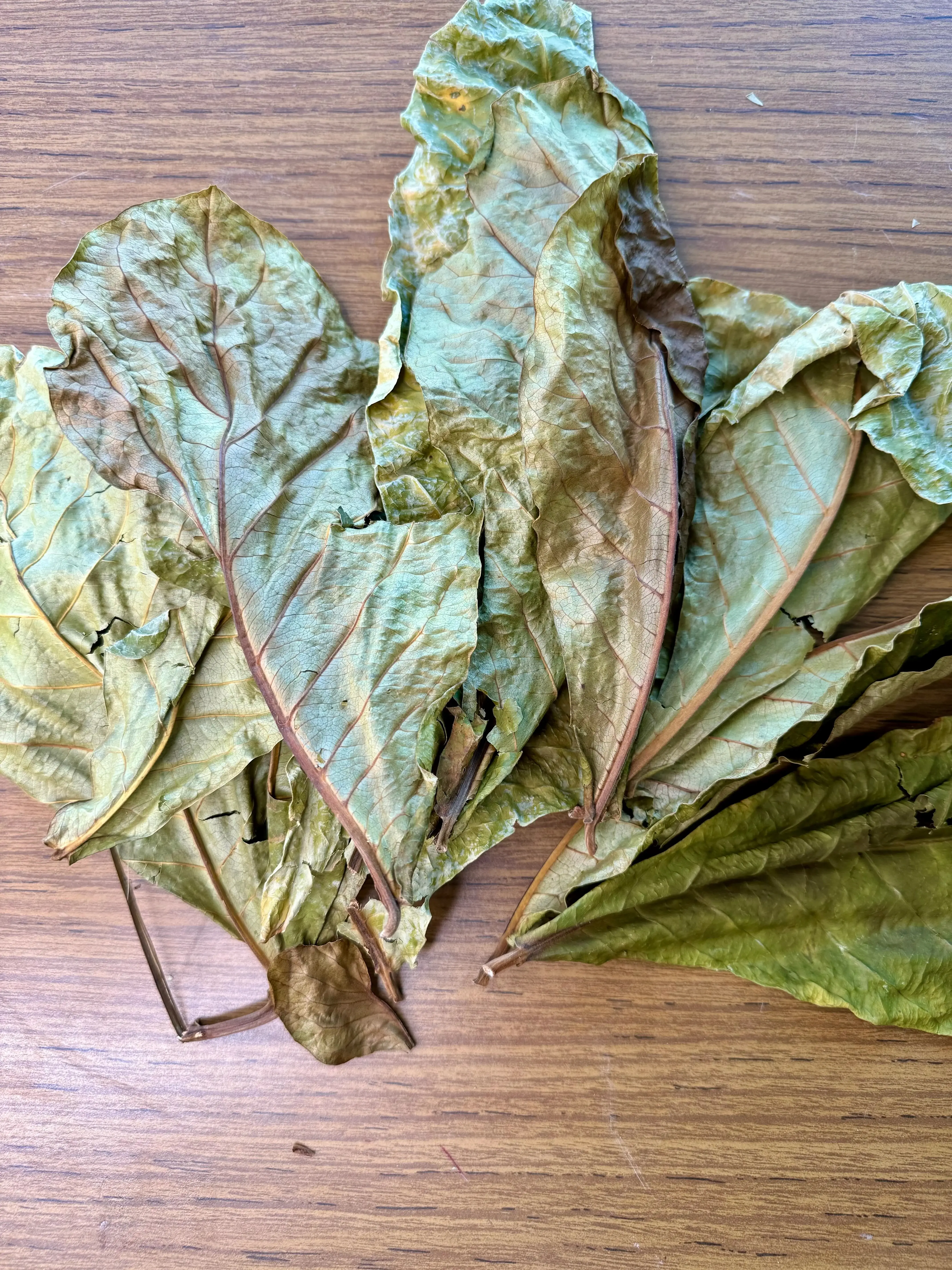 Almond Leave - Fey zanmann