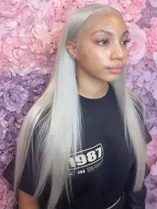 Silver Grey Straight 13x4 Lace Front Wigs Pre-Plucked Natural Hairline HD Transparent Lace Frontal Wig Free Part Synthetic Straight Wig for Women 28 Inch