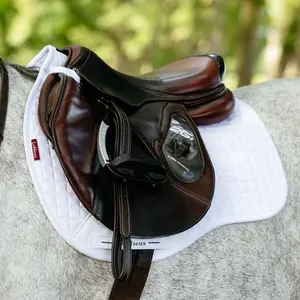 IT06913 LeMieux Suede GP General Purpose Saddle Pad - White