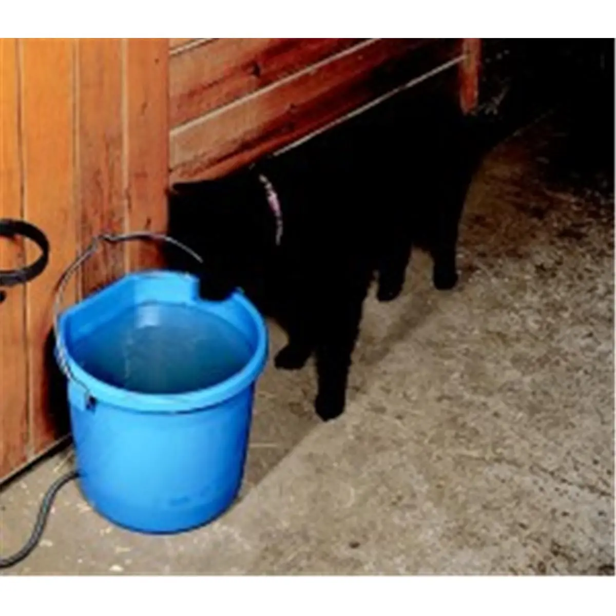 Allied Precision Heated 5gal Flat Back Handle Bucket - Innovative, Stylish Design, Ideal Home Care Supplies Gift for Home Needs