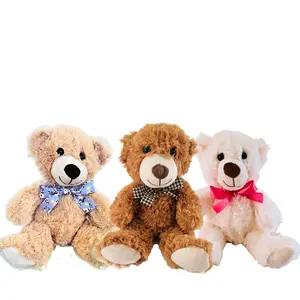 LEGACY BEAR with a personal recorder tucked inside a hand sewn pocket.