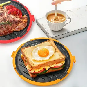 1PC microwave oven special baking tray Grilling Baking, new product large chicken wings, beef sandwiches, toast bread Panini machine