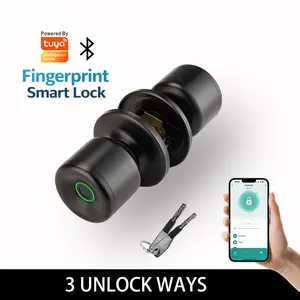 Smart Biometric Fingerprint Metal Door Knob Lock Keyless Entry Bluetooth App Control Auto Lock Local Data Storage Spare Key Security Lock for Indoor Home Garage