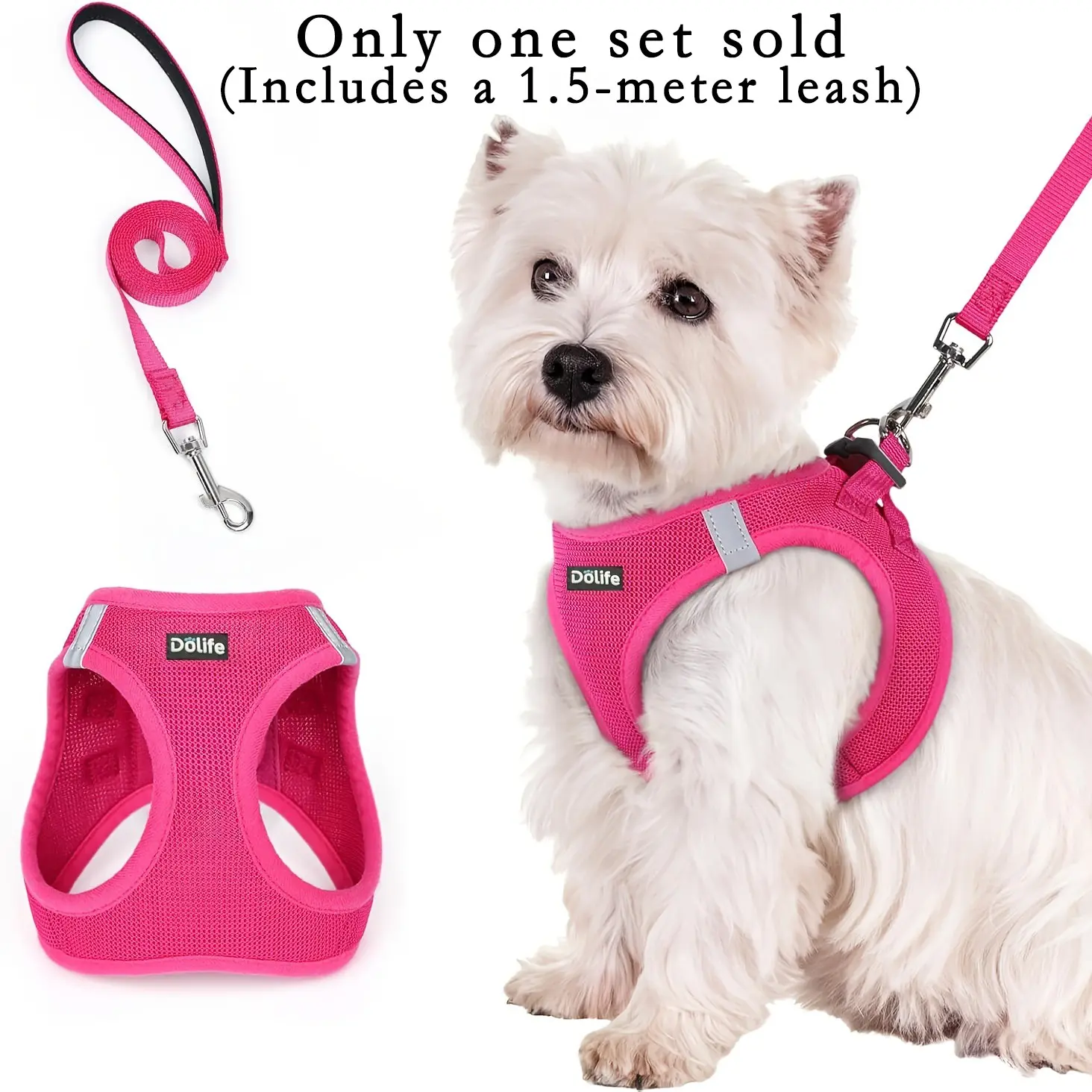 1pc Walk-In Dog Harness and Leash Set, Puppy Harness and Leash, Breathable Mesh, Reflective Strip, Soft Lightweight Pet Vest, Walking Harness, Suitable for Small Dogs and Puppies