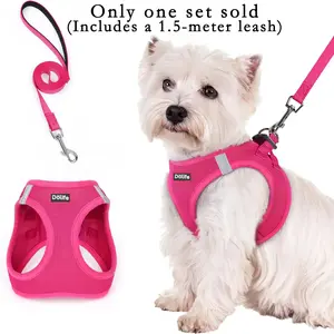 1pc Walk-In Dog Harness and Leash Set, Breathable Mesh, Reflective, Reflective Strip Harness, Soft Lightweight Pet Vest, Walking Harness, Suitable for Small Dogs and Puppies