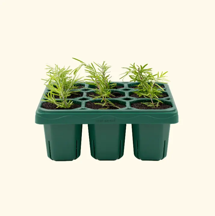 Vego Garden Giga Seedling Trays 9-Cell UV-Resistant Reusable Starter Trays for Greenhouse/Garden (No Lids) Plant Pot