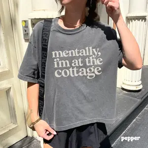 At the Cottage, Bookish Hockey Romance Boxy Comfort Colors, Heated Rivalry Reader Tee, BookTok Aesthetic Shirt, Cozy Romance Reader Gift