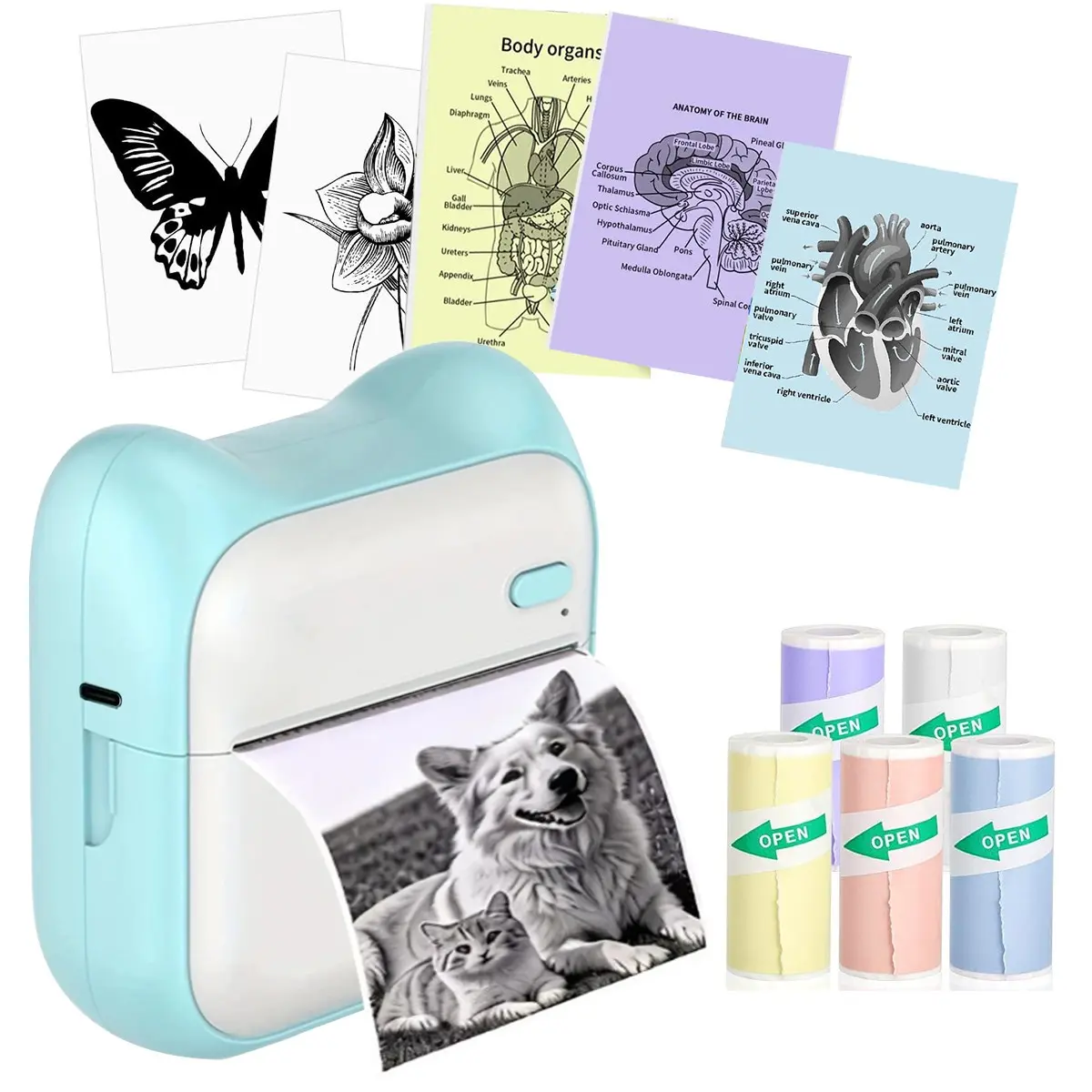 Portable Wireless Thermal Printer, 1 Set Rechargeable Instant Photo Printer with Printer Paper, Mini Bluetooth-compatible Printer for Home & Office, Inkless Printer