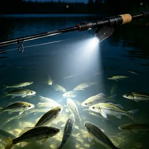 800lm Multi-functional Outdoor Scene Lighting