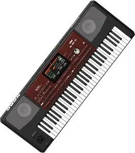 Korg Pa1000 61-Key Professional Keyboard Arranger, Musical Instrument for Organ Performance