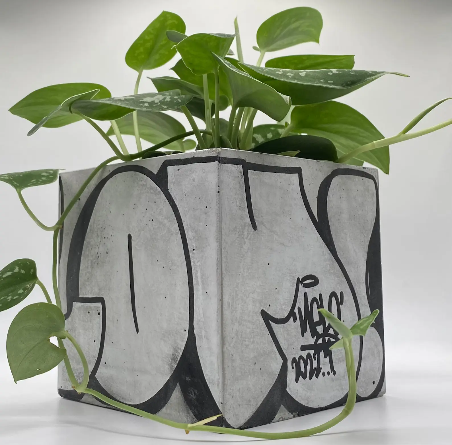 Custom Concrete Graffiti Planter, modern planter, flower vase, concrete pot planter, garden gift, customizable gift