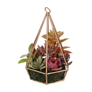 Northlight 9" Artificial Succulents Arrangementin 6-Sid