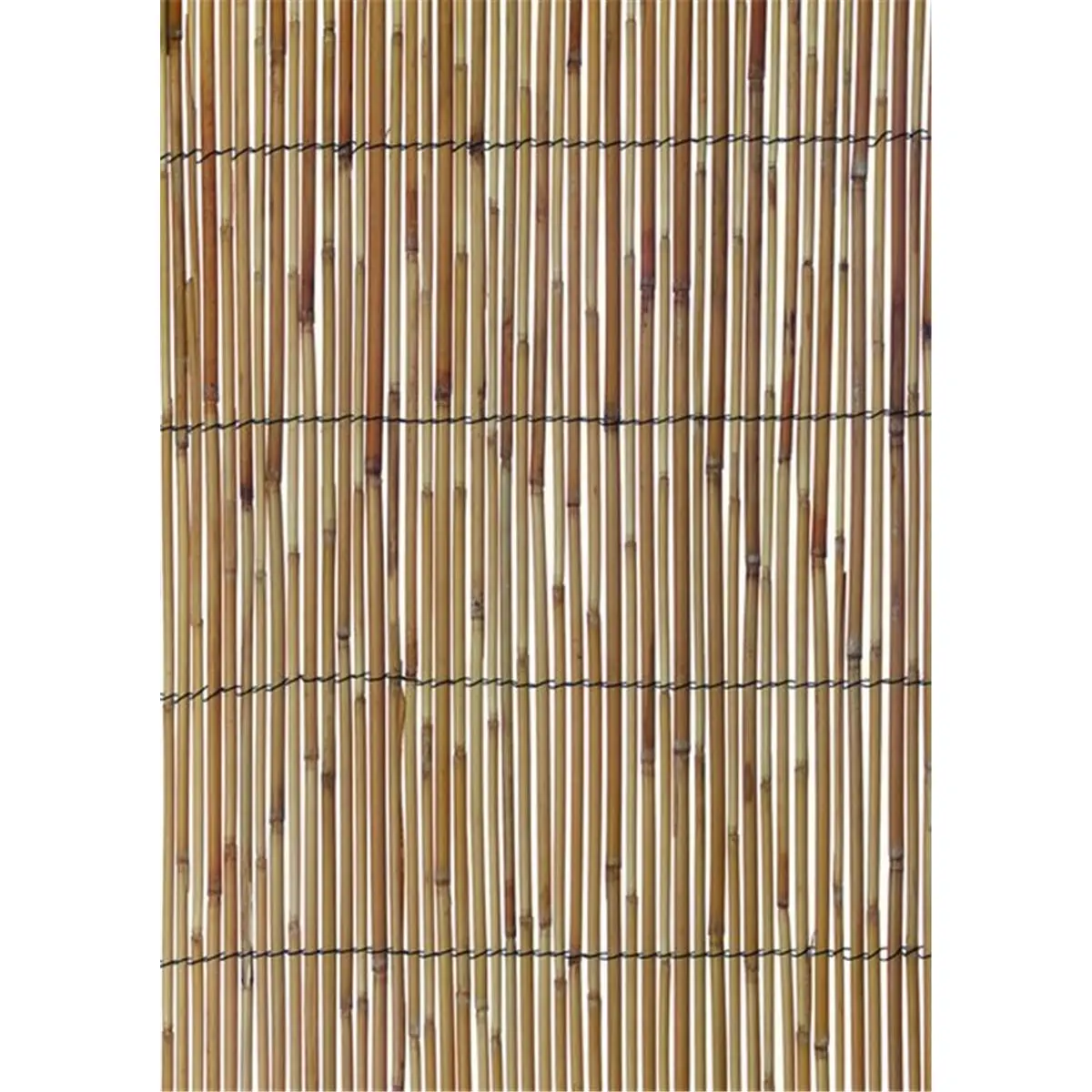 Harbor Gardens  13 x 5 ft. Reed Fencing, Natural, Yard, Boundary, Screening