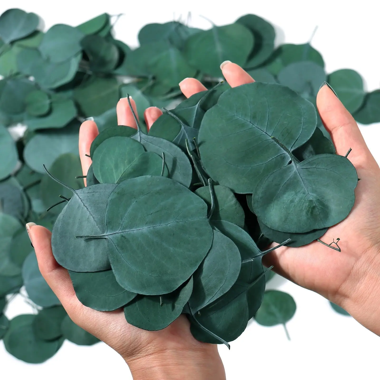 NortureFlora 500+ Pieces Natural Dried Eucalyptus Leaves, 6 oz Bulk Lightweight Biodegradable Greenery, for Vase Table Centerpiece, DIY Decor, Daily Home Decor Supplies (Back to School, Children's Day Use)