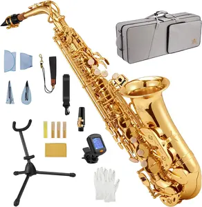 STRICH Eb Alto Saxophone Brass Student Beginner Alto Sax Kit with Hard Case Stand Neck Strap Mouthpiece and Reeds for School Band Home Practice, SSA-31G, Gold