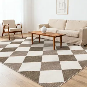 PLUMLIK Modern Geometric Style Area Rug, Textured Woven Checkerboard Pattern Carpet, Non-Slip Soft Low Pile Washable Rug safety for Living Room, Bedroom, Patio, Dining Room, Entryway, Rugs For Home Decor, Ideal For High Traffic Areas, Housewarming Gift