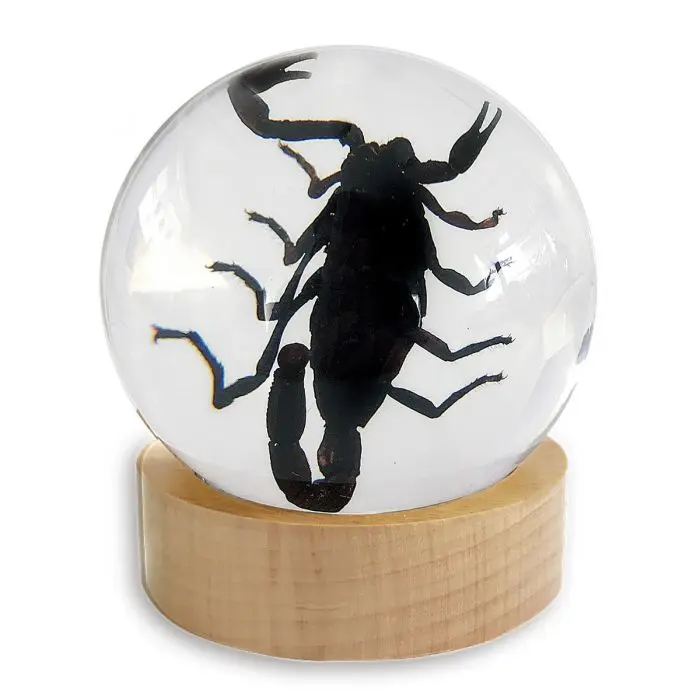 Real Black Scorpion in Globe With Stand - Unique Resin Sculpture, Entomology Collectible & Home Decor Ornament, Scorpio Unique Gift Decoration desk decor ornament