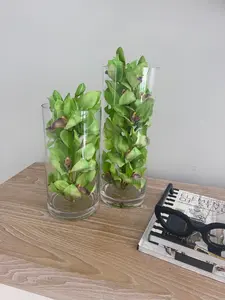 SET OF DECORATIVE CYLINDERS WITH ORCHIDS