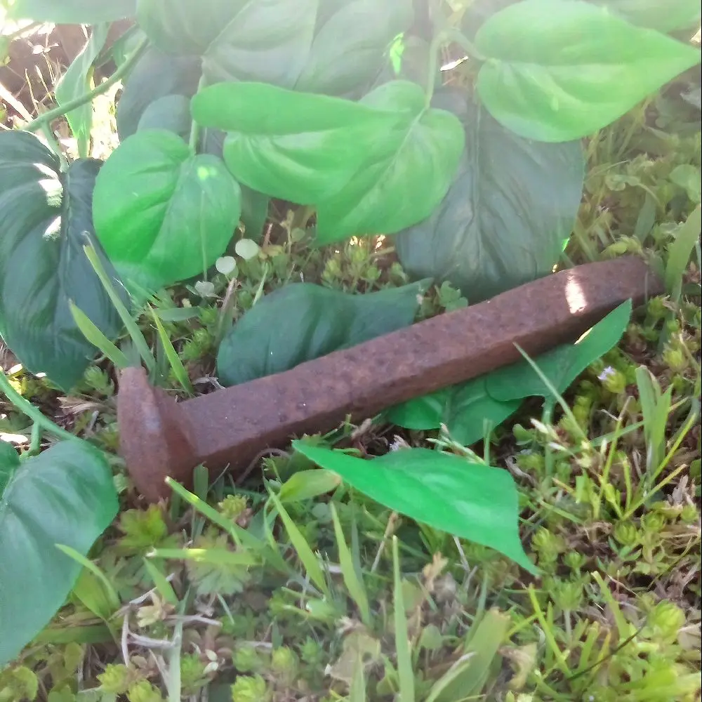 Railroad Spikes