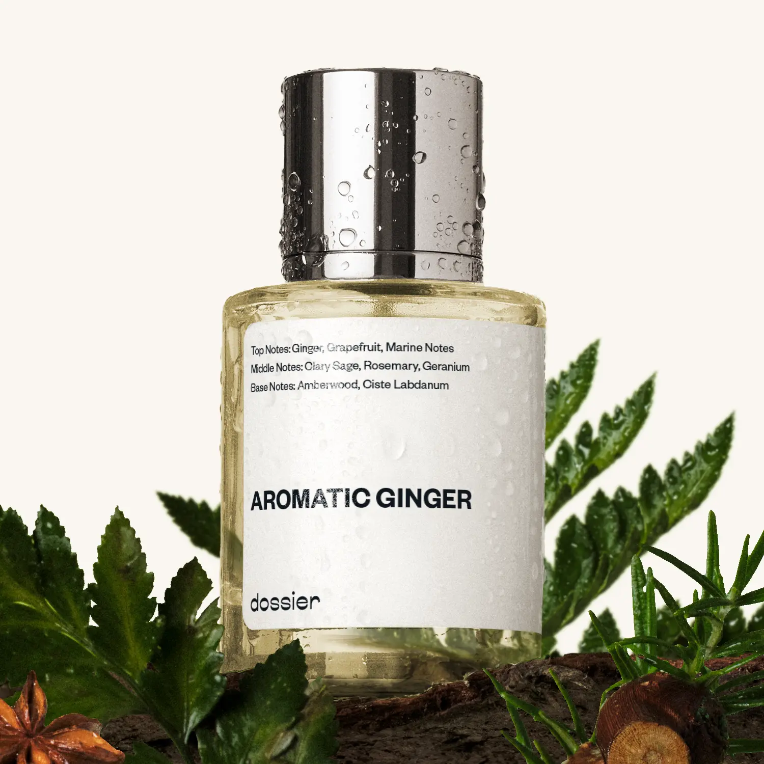 Aromatic Ginger, Dossier, Men Perfume, Eau de Parfum, 50ml, Ginger, Grapefruit, Marine notes, Sage, Rosemary, Amberwood