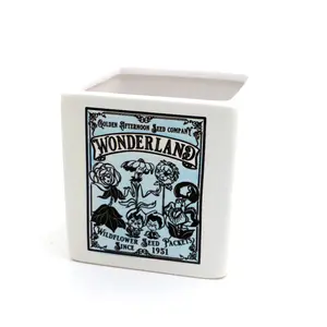Alice in Wonderland,indoor planter, container