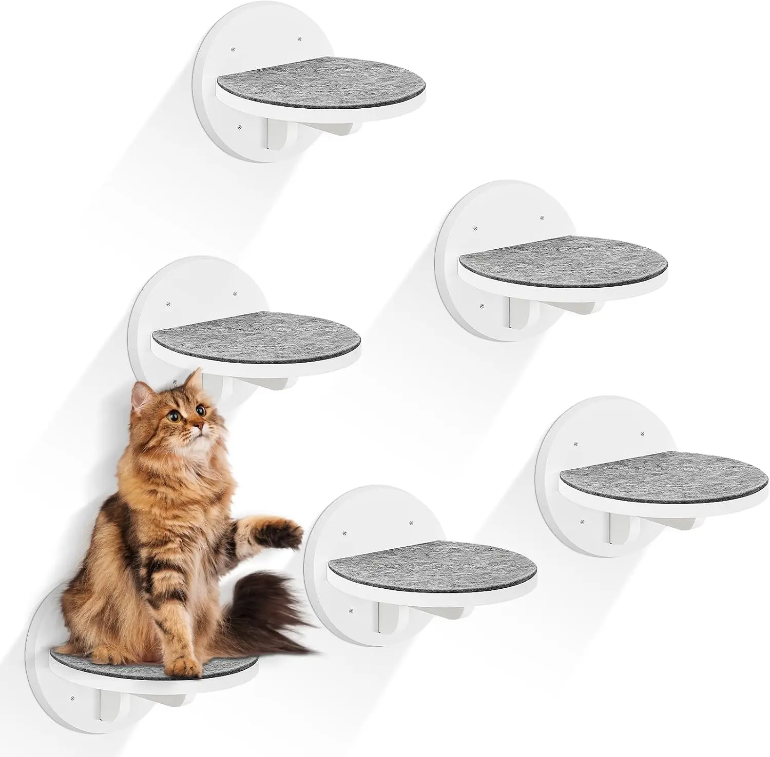 Cat Wall Shelves Furniture Set of 6, Wooden Cat Steps for with Scratching Pad, Sturdy Floating Climber Ladder Stairs, Cats Climbing Wall Systems for Cats Sleep Climb Play