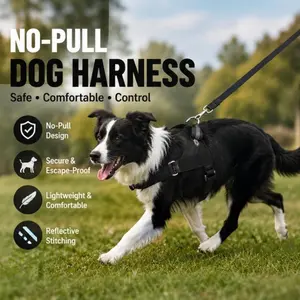 Say Goodbye to Choking! Chest Harness for Medium to Large Dogs-Anti-Pulling and Shock-Absorbing Leashing, All in One, No Pull Harness, Reflective Harness