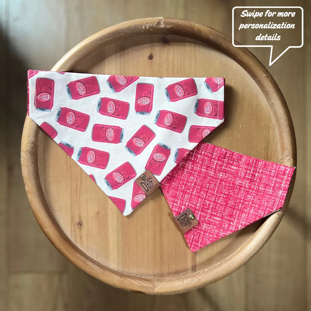 Dr. Pupper / LAST CHANCE / Reversible / Over-the-Collar / Pet Bandana