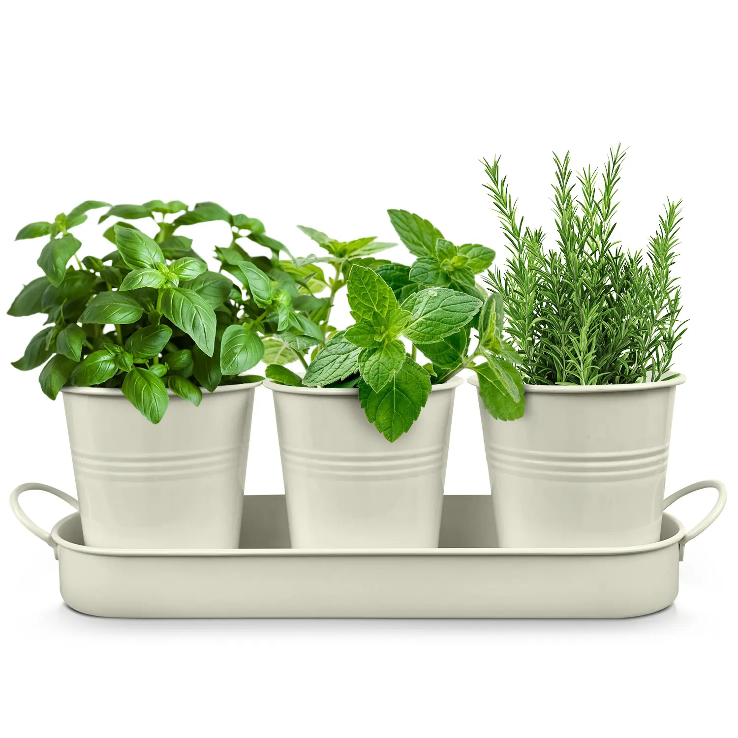 Plexon Indoor Herb Garden Planter Set with Tray – Metal Herb Pots for Kitchen, Windowsill Planter, Multiple Colors, Set of 3