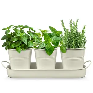Plexon Indoor Herb Garden Planter Set with Tray – Metal Herb Pots for Kitchen, Windowsill Planter, Multiple Colors, Set of 3