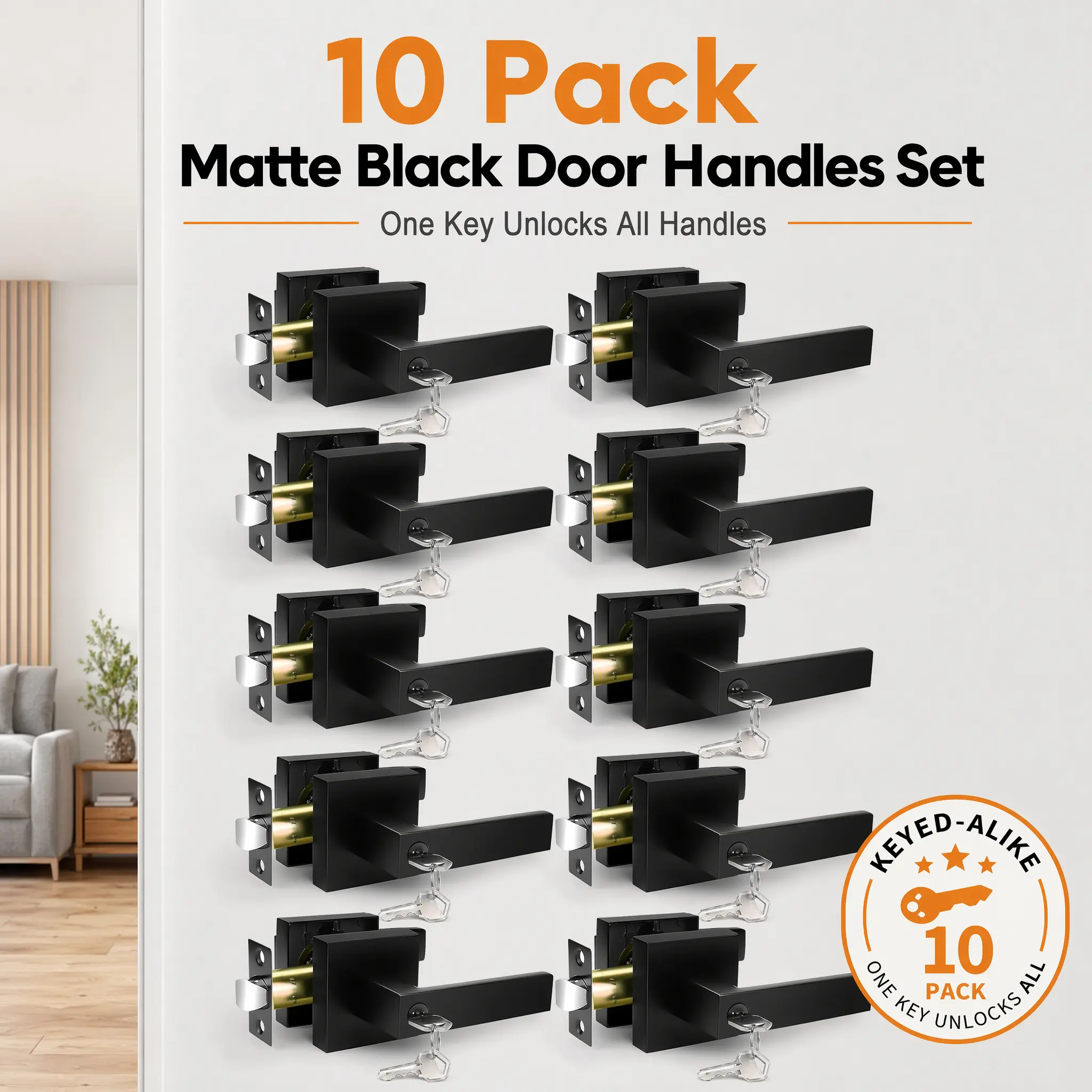 10 PackDoor Handles Set, Heavy Duty Door Lock with 30 Diferent Keys | Zinc Door Knobs Interior, Reversible for Left Right Handed Doors, Bathroom & Bedroom, Keyed Alike Lockset