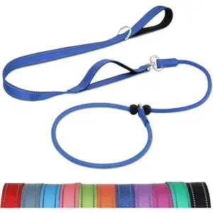 Tangle-Free Slip Leads for Dogs, 6 FT Slip Leash with Padded Double Handle, Reflective Nylon Training Leash for Small Medium Dogs 15-40 Lbs, Navy Blue