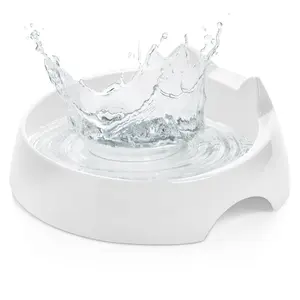 Cat Water Bowl