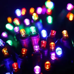 50 5mm ColorSplash Rainbow Red, Orange, Gold, Green, Blue, and Purple LED Christmas Lights, 6" Spacing
