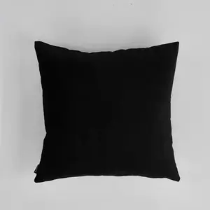 2pcs Velvet Throw Pillows