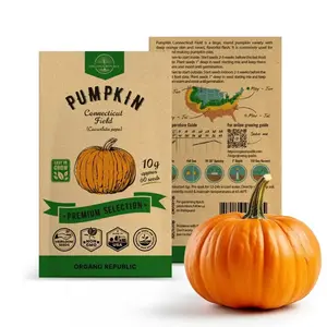 Pumpkin Connecticut Field Seeds Pack 10G