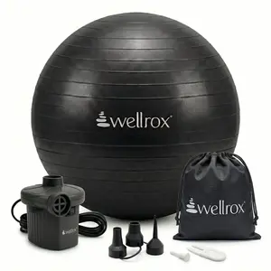 Wellrox Exercise Ball with Electric Pump 45-55cm Anti-Burst Yoga Ball for Pregnancy, Pilates, Fitness & Physical Therapy, Home Gym Balance Chair for Office Desk