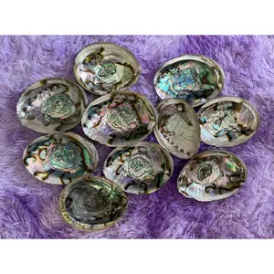 Large abalone shell smudging stick beautiful shells are perfect for smudging, burning resin, displaying crystals