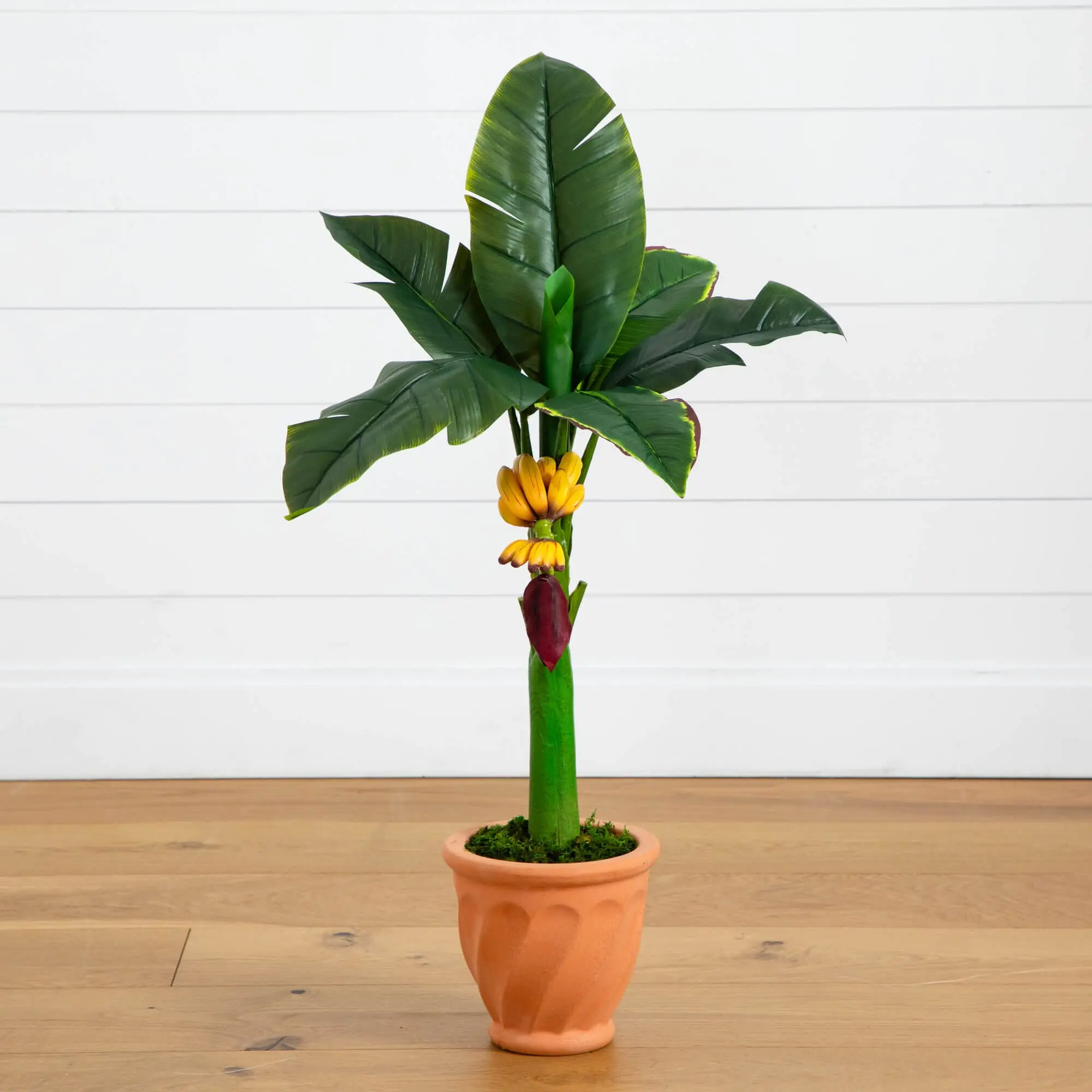 3ft Artificial Banana Tree with Terracotta Planter - Faux Fruit, Light Moss Accent Foliage, Artificial Flower Plant for Home Decor, Room Decor, Countertop with Natural Look