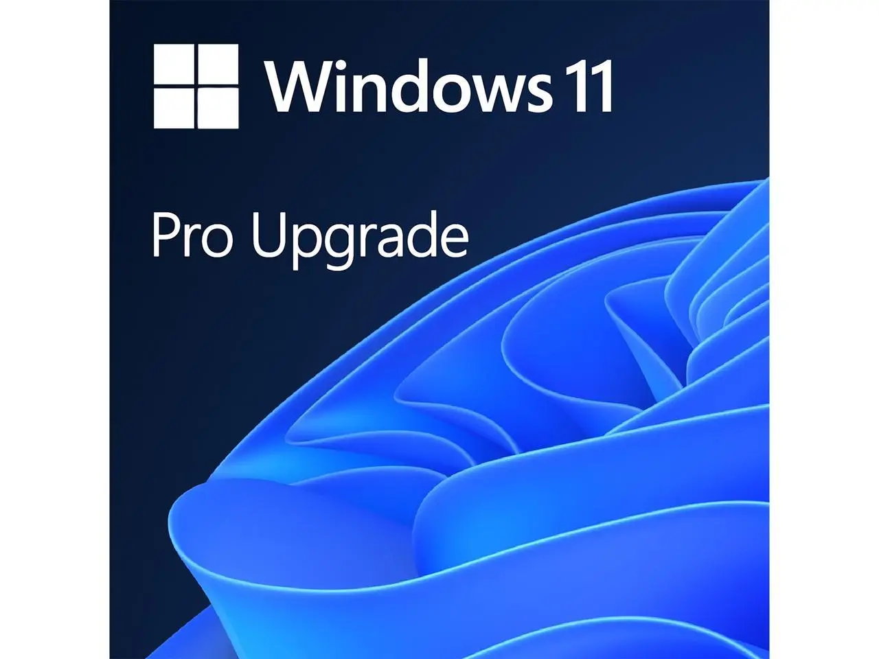 Microsoft Windows 11 Pro Upgrade - From Home to Pro, Permanent, Digital Download with Background Blur, Built-in Encryption